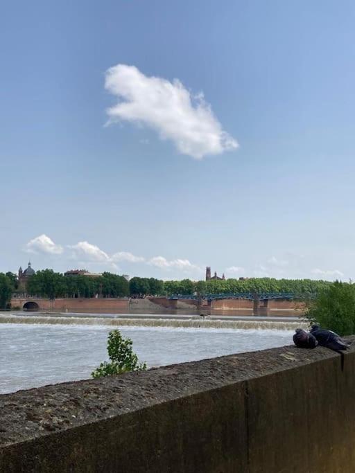 Charmant T2 Dans Toulouse Exterior foto